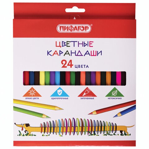 Карандаши цветные ПИФАГОР "Веселая такса", 24 цвета, шестигранные, натуральное дерево, 181808 181808 - фото 187198