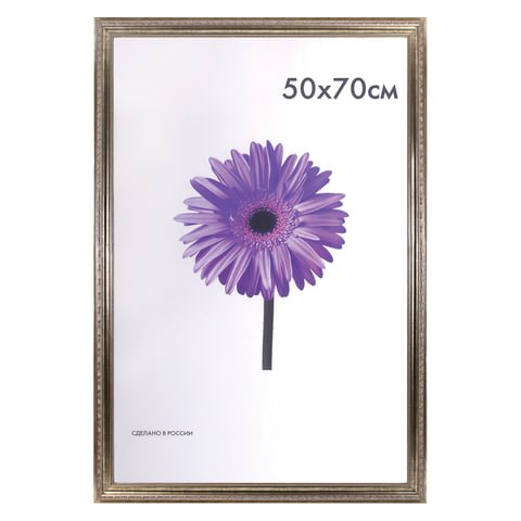 Рамка премиум 50х70 см, пластик, багет 33 мм, "Dorothy", серебро, 0023-50-3330 390735 - фото 230084