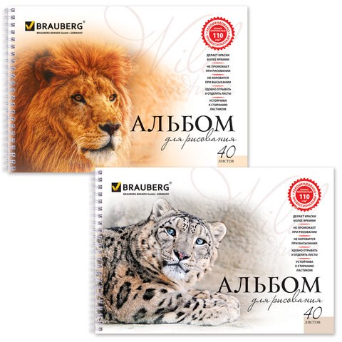 Альбом для рисования, А4, 40 листов, гребень, обложка картон, BRAUBERG, 205х290 мм, "Благородные кошки" (2 вида), 102831 102831 - фото 249413