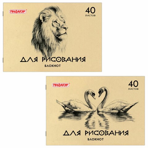 Блокнот для рисования, А4, 40 л., обложка офсет, ПИФАГОР, 200х285 мм, "Лебеди/Лев", 126962 126962 - фото 249539