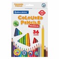 Карандаши цветные BRAUBERG PREMIUM, 36 цветов, трехгранные, грифель 3 мм, 181664 181664 - фото 186893