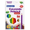Карандаши цветные BRAUBERG PREMIUM, 36 цветов, шестигранные, грифель 3,3 мм, натуральное дерево, 181659 181659 - фото 186940