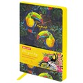 Ежедневник недатированный B6 (127х186 мм), BRAUBERG VISTA, под кожу, гибкий, 136 л., "Toucan tropics", 112114 112114 - фото 216598