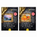 Альбом для рисования, А4, 40 листов, гребень, выборочный лак, подложка, 120 г/м2, BRAUBERG, 205х290 мм, "Картина" (2 вида), 102834 102834 - фото 249377