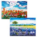 Альбом для рисования, А4, 48 л., гребень, обложка картон, BRAUBERG, 205х290 мм, "Летний пейзаж" (2 вида), 106328 106328 - фото 249494