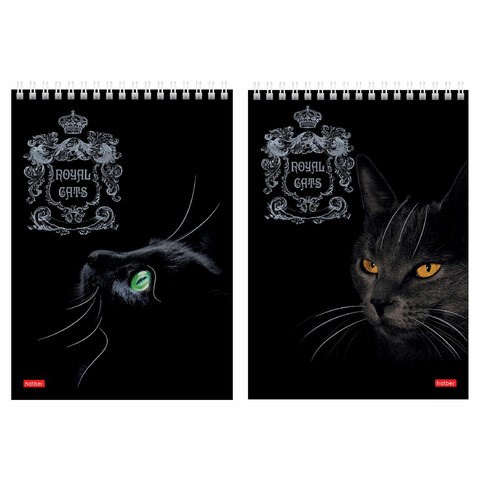 Блокнот А5 146х215 мм, 80 л., гребень, клетка, ламинация, 3D фольга, HATBER, "Royal Cats", 80Б5лофВ1гр 114352 - фото 210897