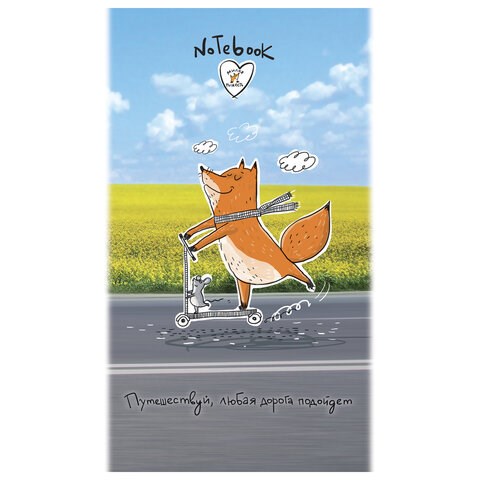 Блокнот МАЛЫЙ ФОРМАТ А6 105x164 мм, 40 л., скоба, фольга, TWIN лак, клетка, "МИКС 4" (10 видов), 099081 114340 - фото 211091