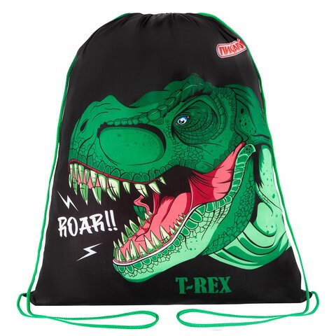 Мешок для обуви ПИФАГОР, 1 отделение, 42х34 см, "Dino roar", 272387 272387 - фото 264315