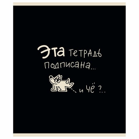 Тетрадь А5 48 л. ПЗБМ, скоба, клетка, матовая ламинация, брайль, "Тетрадь подписана" (микс в ПУ), 23447 405350 - фото 274019