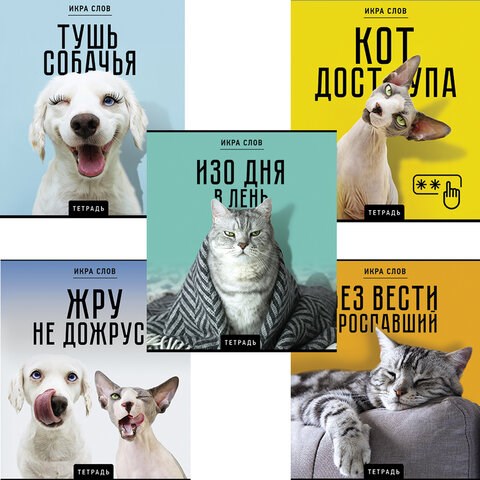 Тетрадь А5 48 л., ПЗБМ, скоба, клетка, конгрев, TWIN-лак, "Икра слов", (5 видов), 27377 405009 - фото 274106