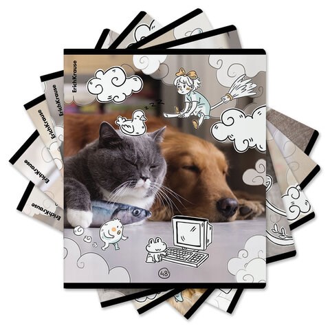 Тетрадь обложка пластик, А5, 48 л., скоба, клетка, ErichKrause, "Dream Cat" (микс в спайке), 54161 405266 - фото 274929
