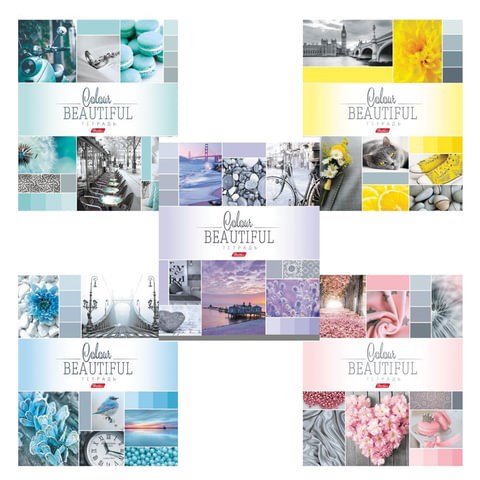 Тетрадь А5, 96 л., HATBER, скоба, клетка, обложка картон, "BEAUTIFUL COLOURE" (микс), 046858, 96Т5В1 402919 - фото 275563