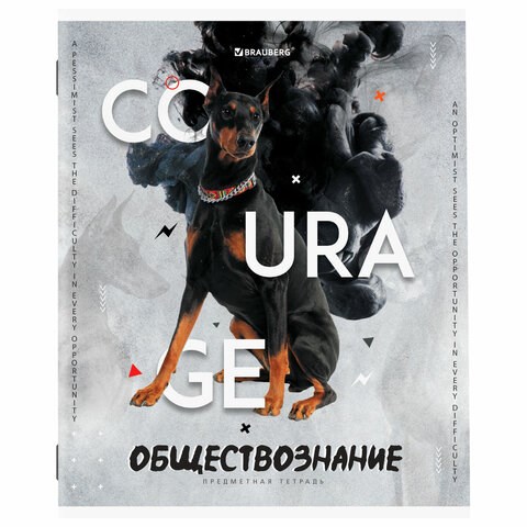 Тетрадь предметная "SPORT CLUB" 48 л., обложка картон, ОБЩЕСТВОЗНАНИЕ, клетка, подсказ, BRAUBERG, 404795 404795 - фото 277696