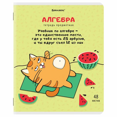 Тетрадь предметная "КОТ-ЭНТУЗИАСТ" 48 л., TWIN-лак, АЛГЕБРА, клетка, подсказ, BRAUBERG, 404556 404556 - фото 277830