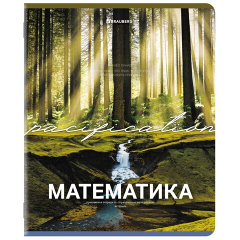 Тетрадь предметная КЛАССИКА ПРИРОДА 48 л., обложка картон, МАТЕМАТИКА, клетка, подсказ, BRAUBERG, 405095 405095 - фото 278337