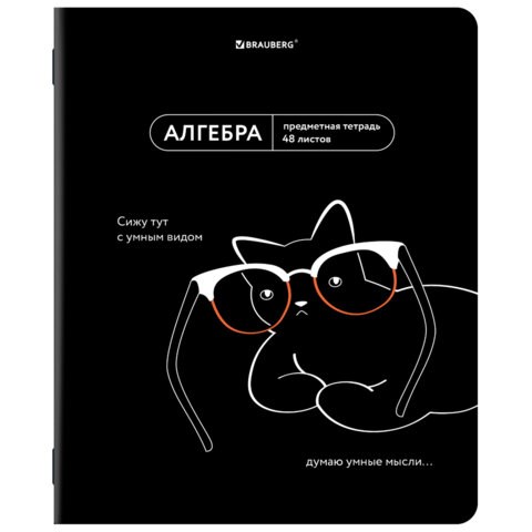 Тетрадь предметная МЕМЫ 48 л., TWIN-лак, АЛГЕБРА, клетка, подсказ, BRAUBERG, 405096 405096 - фото 278357