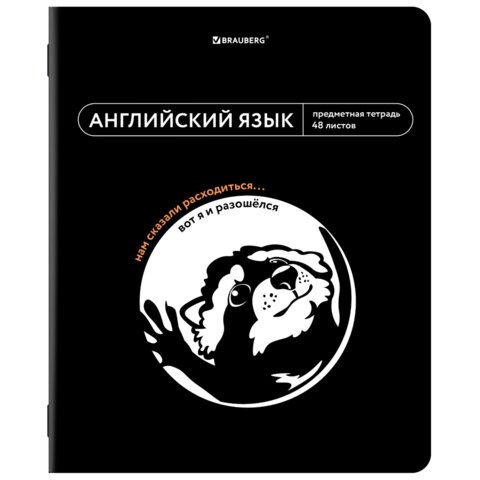Тетрадь предметная МЕМЫ 48 л., TWIN-лак, АНГЛИЙСКИЙ ЯЗЫК, клетка, подсказ, BRAUBERG, 405098 405098 - фото 278361
