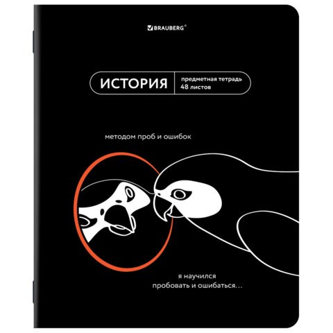 Тетрадь предметная МЕМЫ 48 л., TWIN-лак, ИСТОРИЯ, клетка, подсказ, BRAUBERG, 405103 405103 - фото 278381
