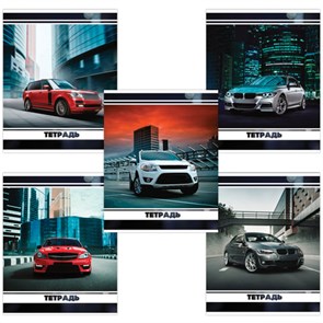 {{productViewItem.photos[photoViewList.activeNavIndex].Alt || productViewItem.photos[photoViewList.activeNavIndex].Description || 'Тетрадь А5, 48 л., BRAUBERG, скоба, клетка, обложка картон, МАШИНЫ, 403038'}}
