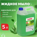 Мыло жидкое 5 л, ЛАЙМА PROFESSIONAL "Алоэ и зеленый чай", 601431 601431