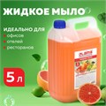 Мыло жидкое 5 л, ЛАЙМА PROFESSIONAL, "Грейпфрут и Лайм", 601432 601432