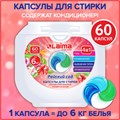 Капсулы для стирки белья большие концентрат 4 в 1, с кондиционером, "Райский сад", 60 шт., LAIMA, 608876 608876