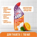 Средство для уборки туалета дезинфицирующее 750 мл CILLIT BANG "Антиналет+Блеск", Сила Цитруса, 07820, 8149770 601996