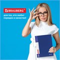 Папка 60 вкладышей BRAUBERG стандарт, синяя, 0,8 мм, 221605 221605