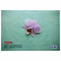 Папка-конверт с кнопкой BRAUBERG "FLOWER", А4, 160 мкм, до 100 листов, цветная печать, 228031 228031