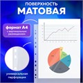 Папки-файлы перфорированные А4 BRAUBERG "EXTRA 700", КОМПЛЕКТ 50 шт., матовые, ПЛОТНЫЕ, 70 мкм, 229667 229667