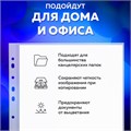 Папки-файлы перфорированные А4 BRAUBERG "STANDARD", КОМПЛЕКТ 100 шт., матовые, 40 мкм, 229660 229660