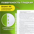 Папки-файлы перфорированные А4 STAFF "ЭКОНОМ", КОМПЛЕКТ 100 шт., гладкие, 25 мкм, 228504 228504