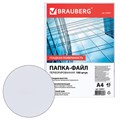 Папки-файлы перфорированные, А4, BRAUBERG "STANDARD", комплект 100 шт., гладкие, 45 мкм, 226831 226831