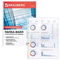 Папки-файлы перфорированные, А4, BRAUBERG "STANDARD", комплект 100 шт., гладкие, 45 мкм, 226831 226831