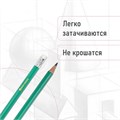 Карандаши чернографитные BRAUBERG НАБОР 12 шт., НВ, с резинкой, пластиковый зеленый корпус, 180678 180678