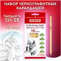 Карандаши чернографитные чертежные школьные разной твердости НАБОР 12 штук 2H-2B, ПИФАГОР, 181883 181883