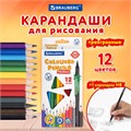 Карандаши цветные BRAUBERG PREMIUM 12 цветов + 1 чернографитный карандаш, трехгранные, грифель 3 мм, 181936 181936