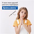 Карандаши цветные BRAUBERG PREMIUM 12 цветов, трехгранные, грифель 3,3 мм, натуральное дерево, 181651 181651