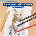 Карандаши цветные BRAUBERG PREMIUM 24 цвета + 2 чернографитных карандаша, трехгранные, грифель 3 мм, 181937 181937