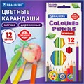 Карандаши цветные BRAUBERG PREMIUM, 12 цветов, шестигранные, грифель 3,3 мм, натуральное дерево, 181656 181656