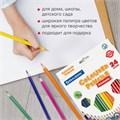 Карандаши цветные BRAUBERG PREMIUM, 24 цвета, шестигранные, грифель 3 мм, 181668 181668