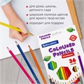 Карандаши цветные BRAUBERG PREMIUM, 36 цветов, шестигранные, грифель 3,3 мм, натуральное дерево, 181659 181659