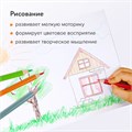 Карандаши цветные BRAUBERG PREMIUM, 36 цветов, шестигранные, грифель 3,3 мм, натуральное дерево, 181659 181659