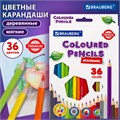 Карандаши цветные BRAUBERG PREMIUM, 36 цветов, шестигранные, грифель 3,3 мм, натуральное дерево, 181659 181659