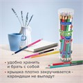 Карандаши цветные двусторонние BRAUBERG PREMIUM TWIN COLOUR, 24 шт., 48 цв., туба, шестигранные, грифель 3,3 мм, натуральное дерево, 181876 181876