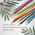 Карандаши цветные мягкие BRAUBERG АКАДЕМИЯ, 18 цветов, шестигранные, грифель 3 мм, натуральное дерево, 181865 181865