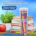 Карандаши цветные акварельные BRAUBERG PREMIUM AQUARELLE 36 цветов в тубе, трехгранные, утолщенный грифель 4 мм, натуральное дерево,181933 181933