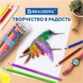 Карандаши цветные акварельные BRAUBERG PREMIUM AQUARELLE 36 цветов в тубе, трехгранные, утолщенный грифель 4 мм, натуральное дерево,181933 181933