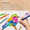 Карандаши цветные акварельные BRAUBERG PREMIUM AQUARELLE, 12 цветов, трехгранные, утолщенный грифель 4 мм, натуральное дерево, 181671 181671