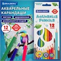 Карандаши цветные акварельные BRAUBERG PREMIUM AQUARELLE, 12 цветов, трехгранные, утолщенный грифель 4 мм, натуральное дерево, 181671 181671